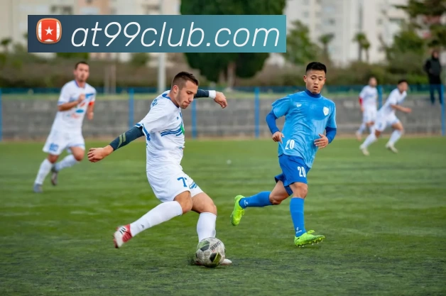 App Interface Preview